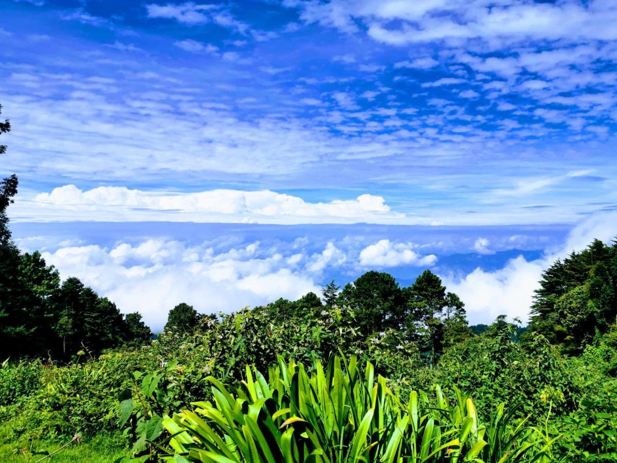 El Pital Ecolodge San Ignacio 외부 사진