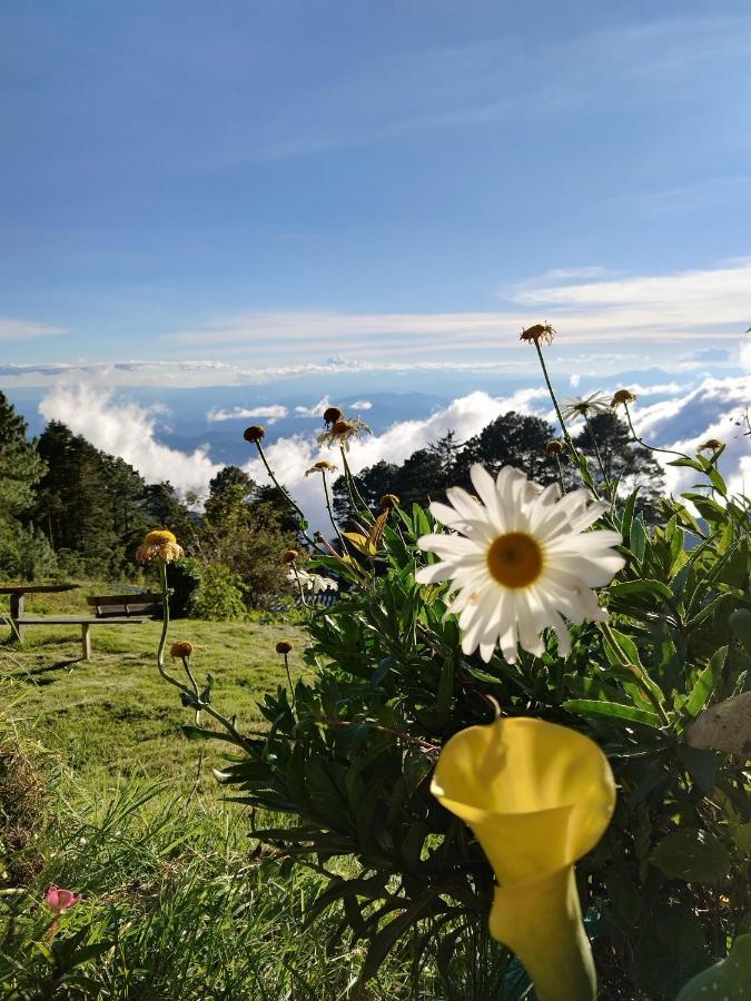 El Pital Ecolodge San Ignacio 외부 사진