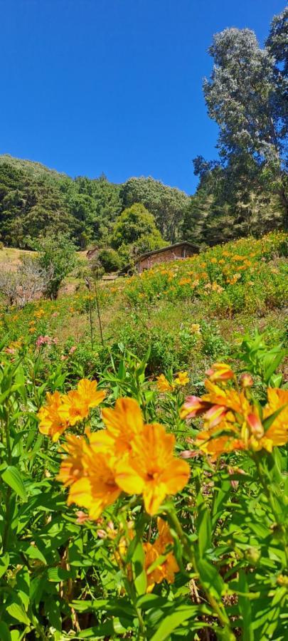 El Pital Ecolodge San Ignacio 외부 사진