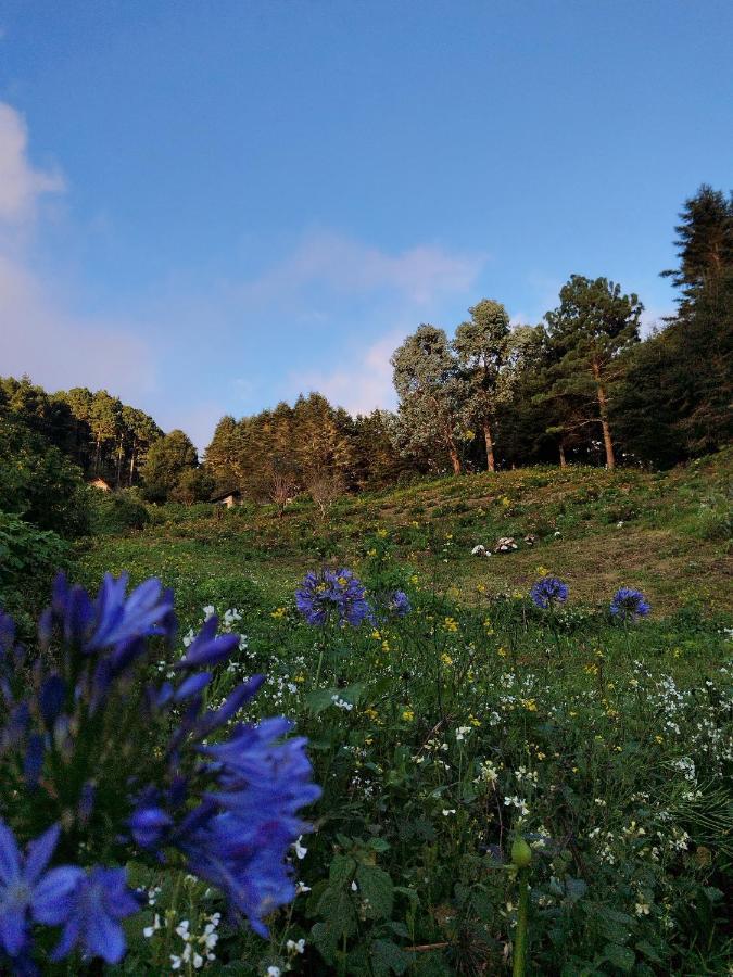 El Pital Ecolodge San Ignacio 외부 사진