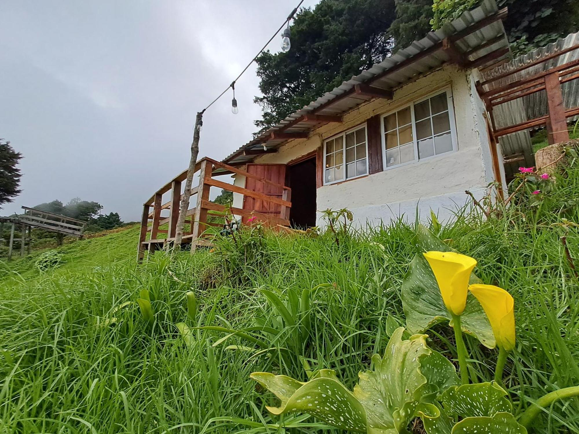 El Pital Ecolodge San Ignacio 외부 사진